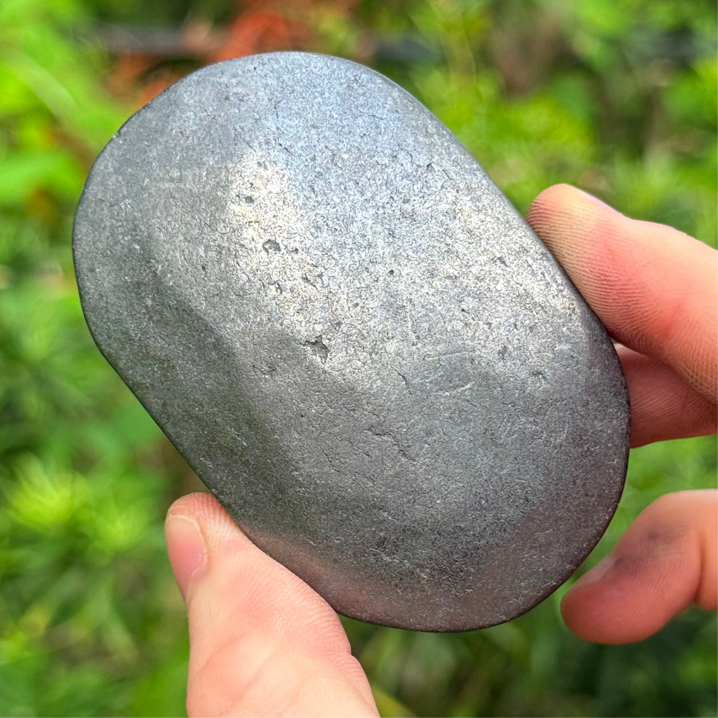 2.5” Shungite Palm Stone