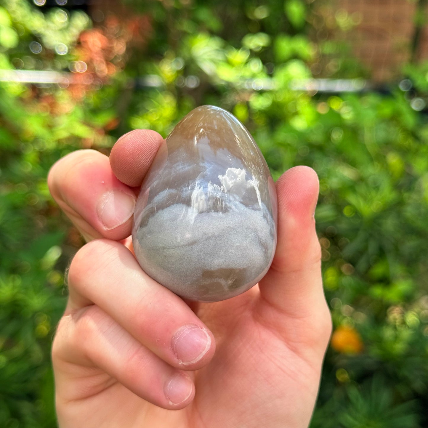 1.5” Sea Jasper Egg