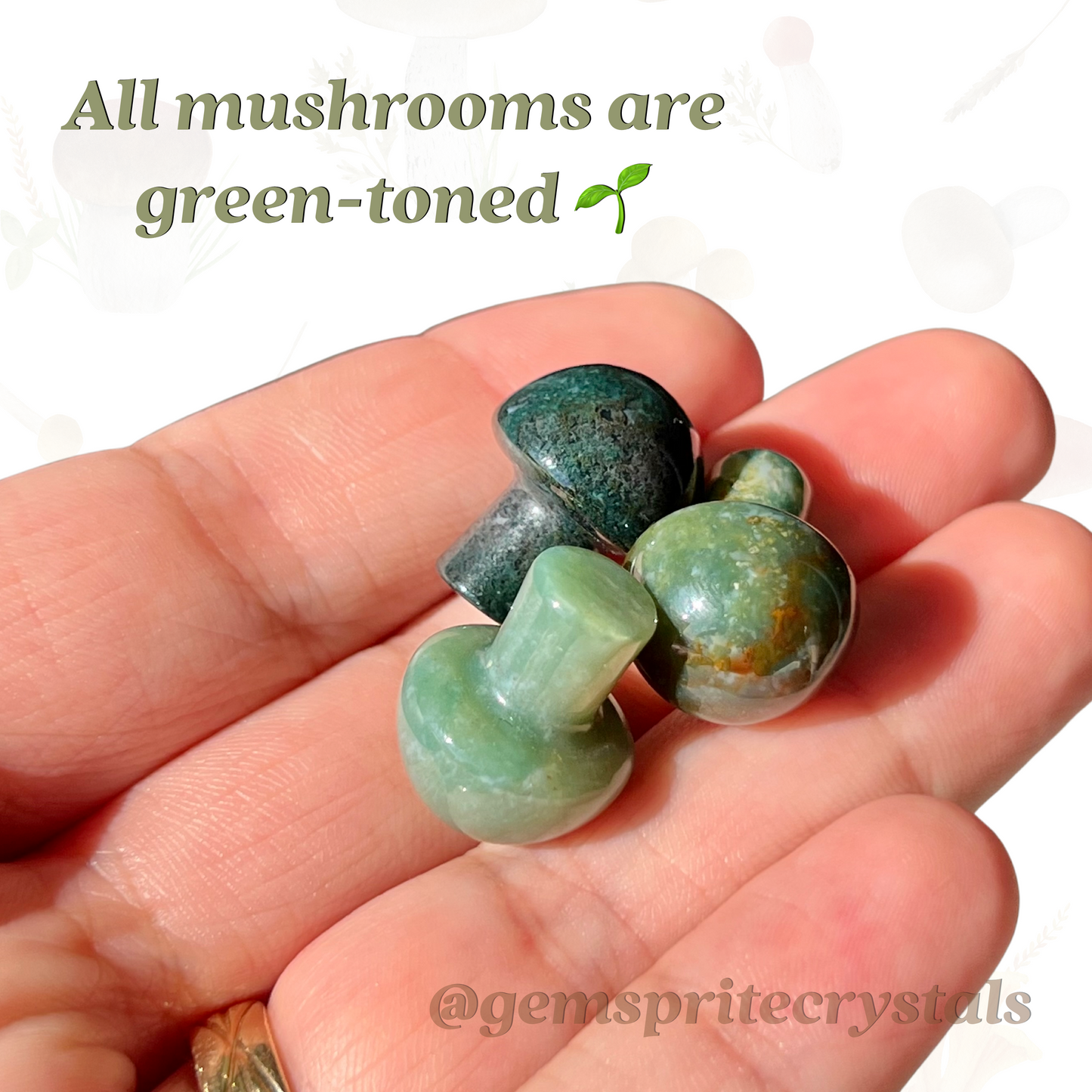 Ocean Jasper Mushroom