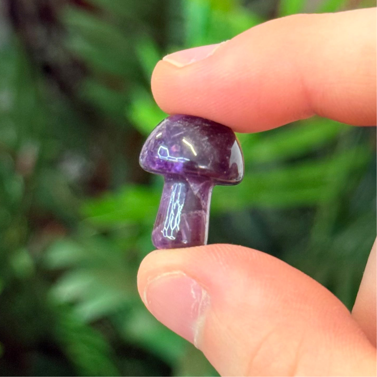 Amethyst Mushroom