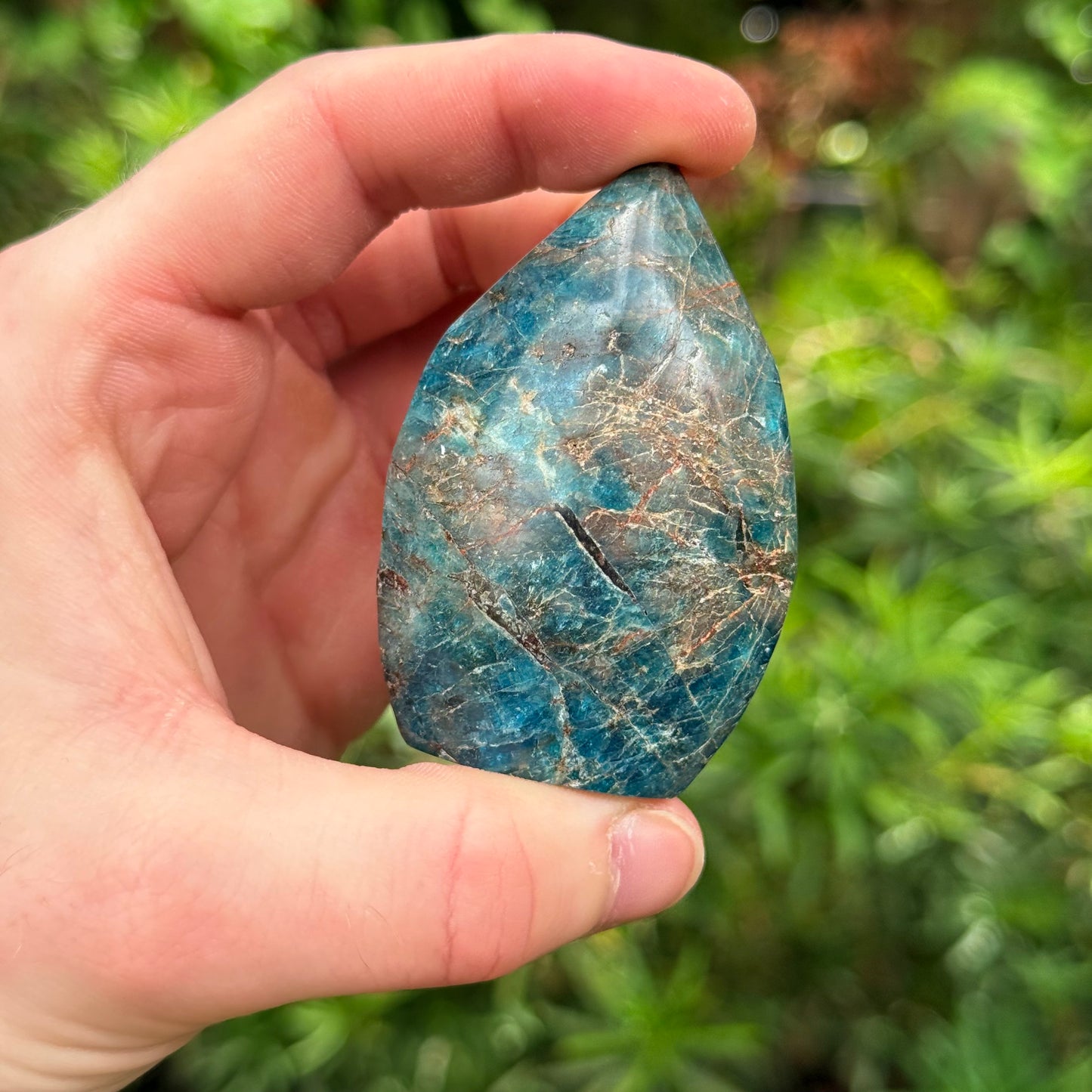 1.5” Blue Apatite Freeform