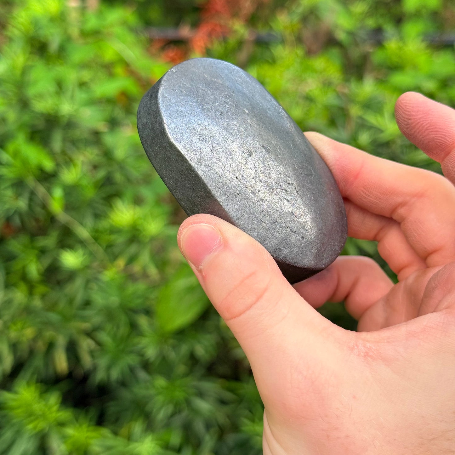 2.5” Shungite Palm Stone