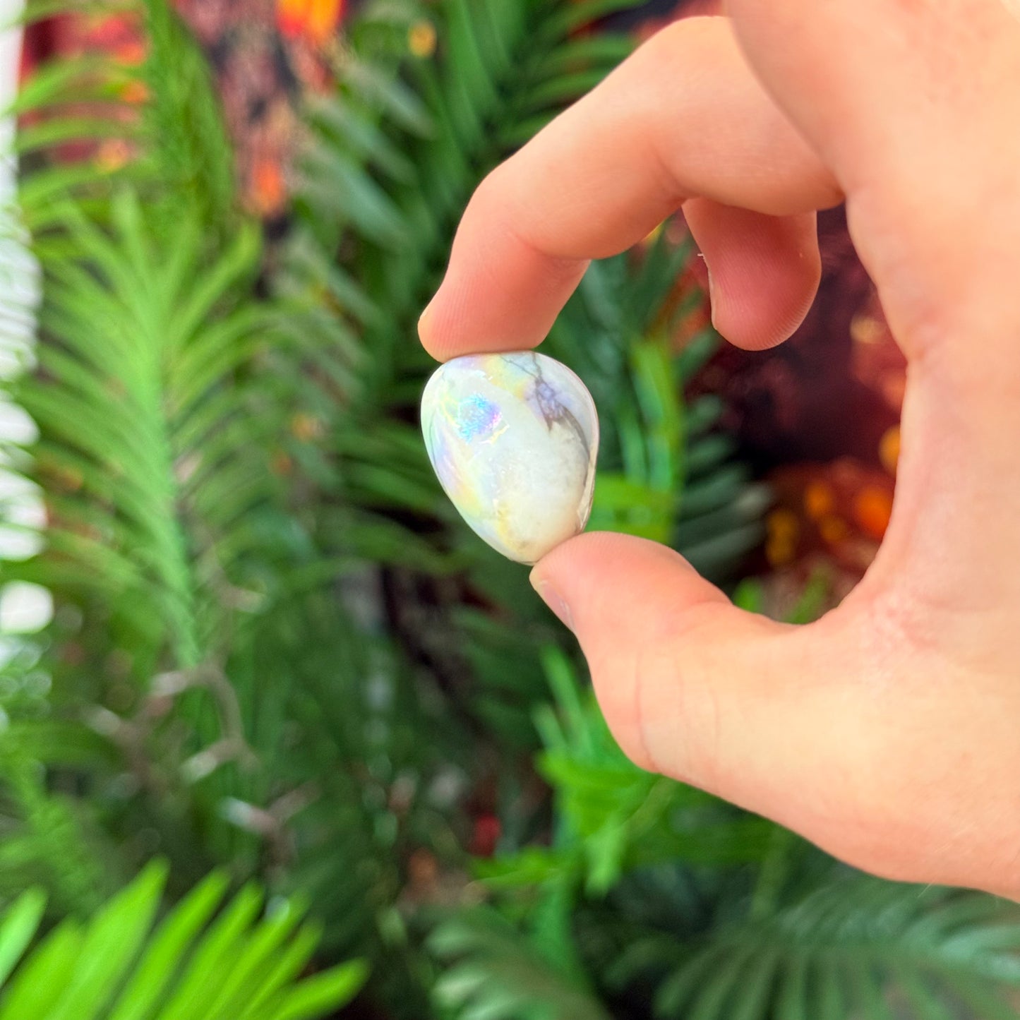 Aura Howlite Tumble AU4