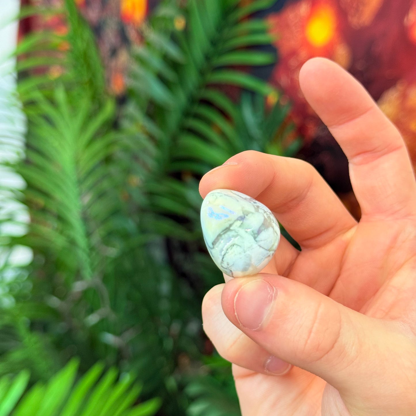Aura Howlite Tumble AU4