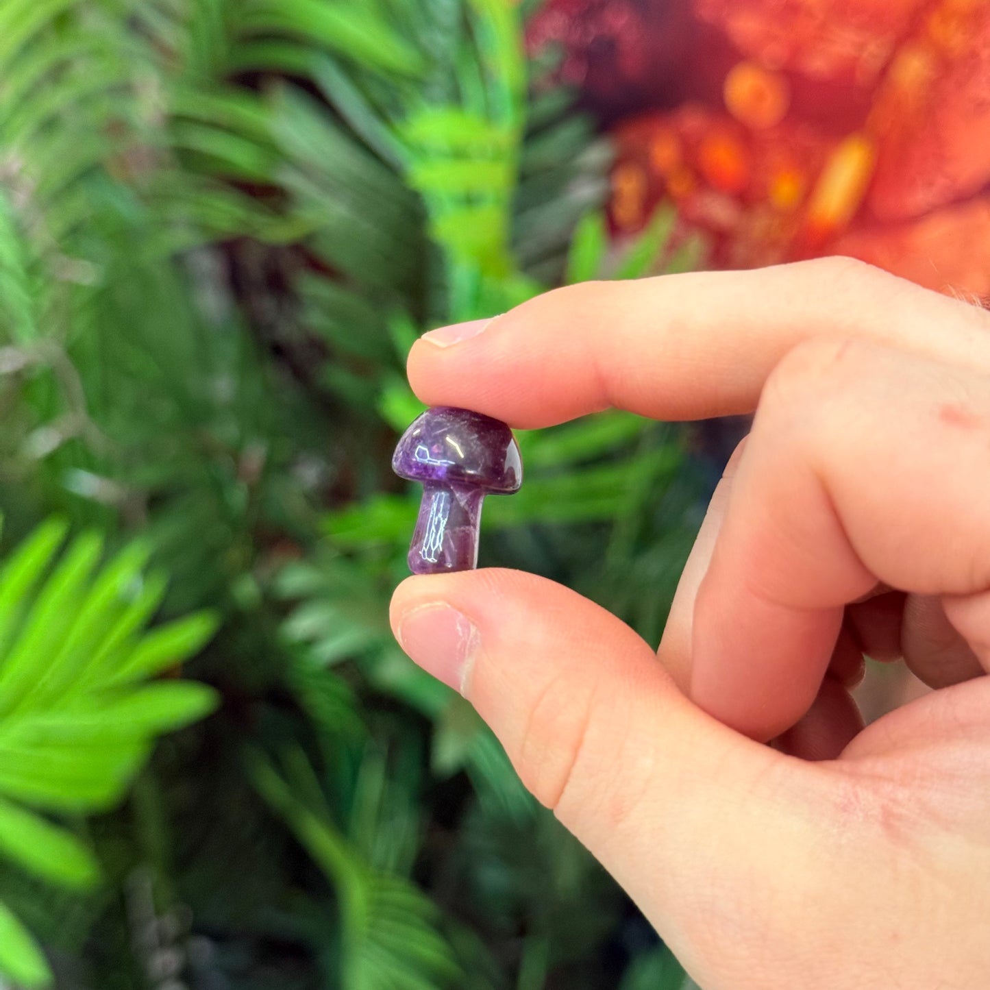 Amethyst Mushroom