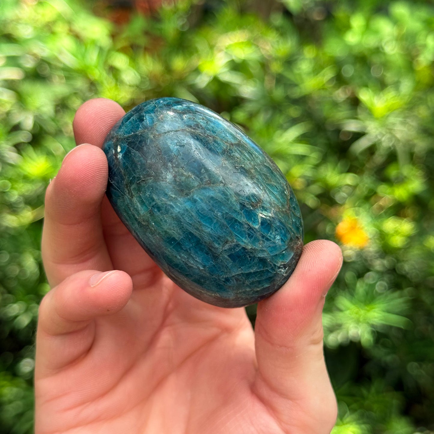 2” Blue Apatite Palm Stone