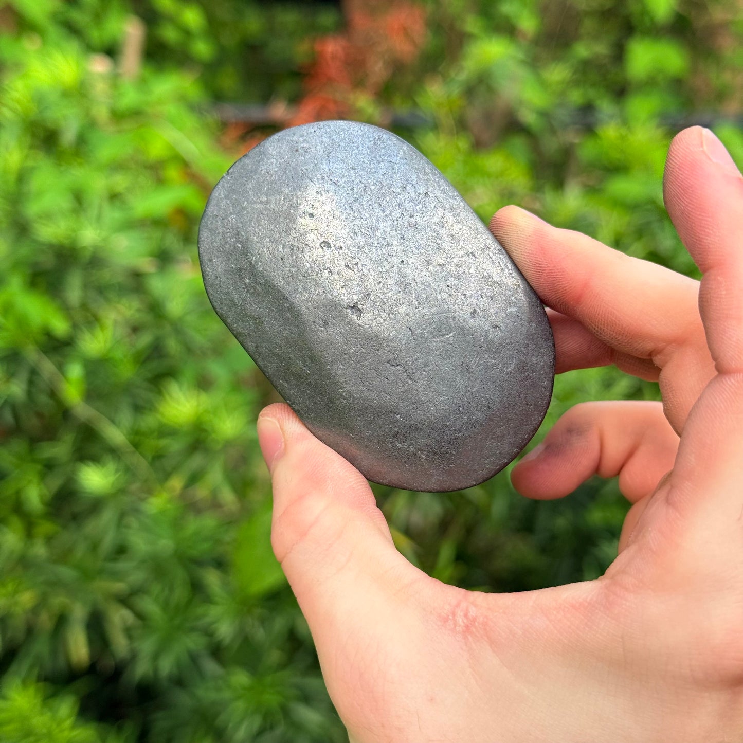 2.5” Shungite Palm Stone