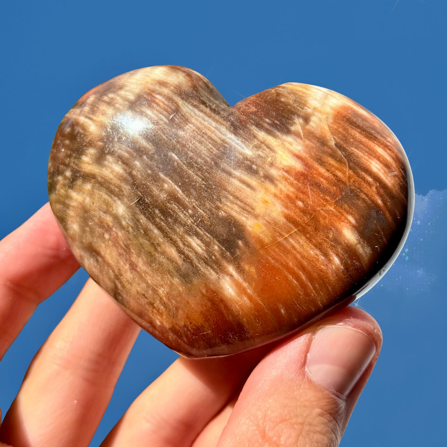 Petrified Wood Heart with Intense Red Tones