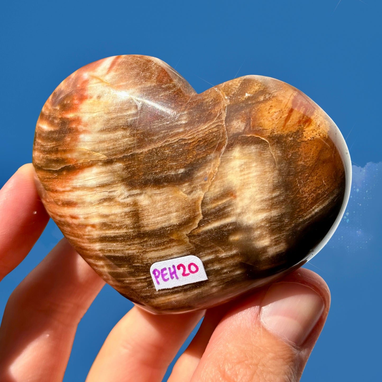 Petrified Wood Heart with Intense Red Tones