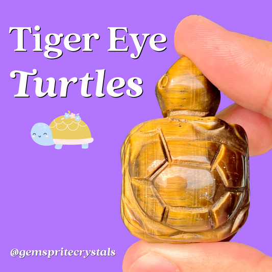 Tiger’s Eye Turtle