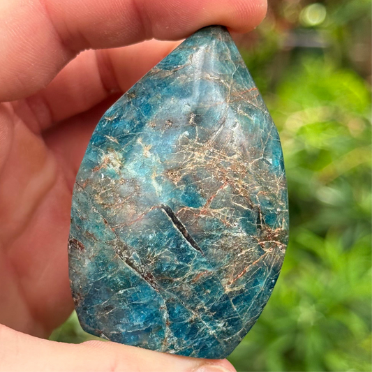 1.5” Blue Apatite Freeform