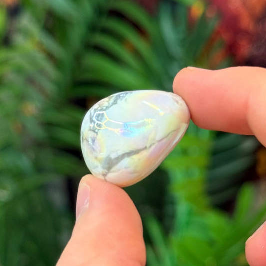 Aura Howlite Tumble AU4