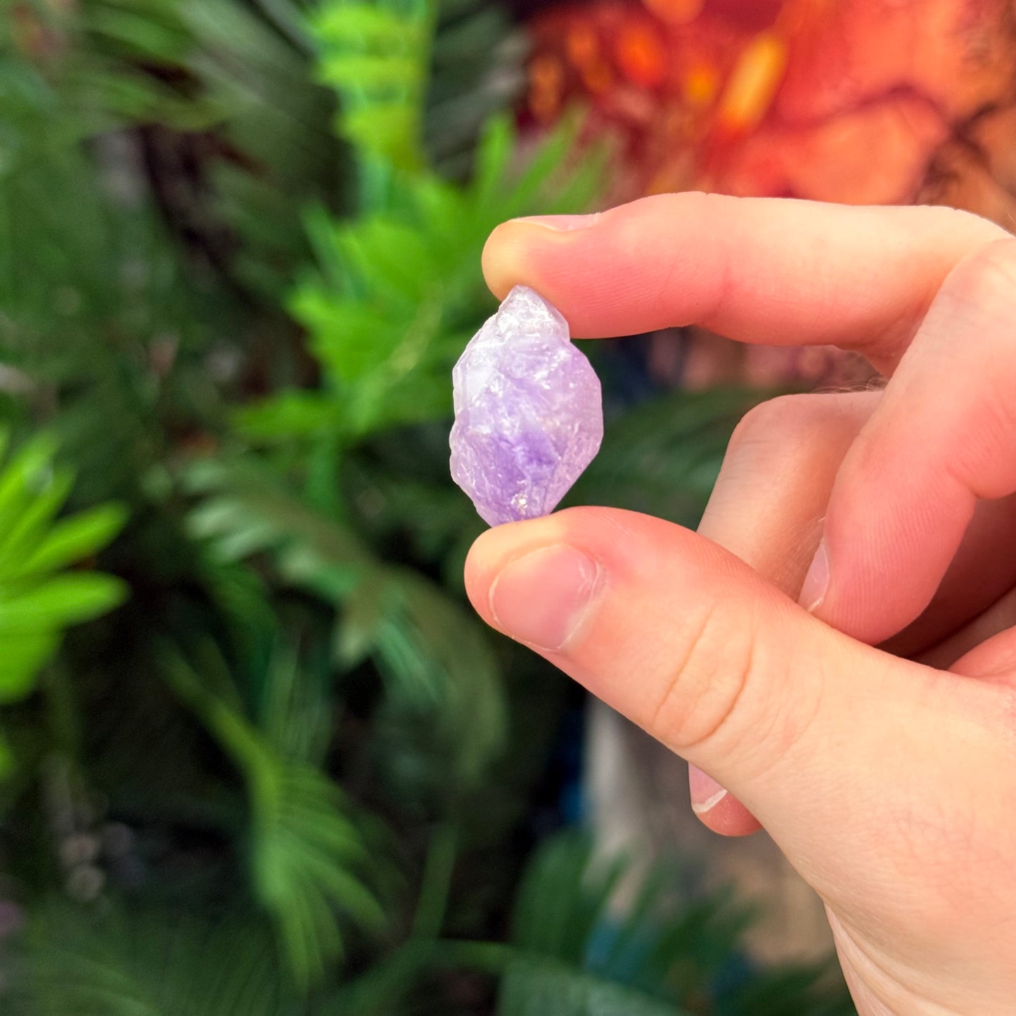 Amethyst Raw Flower