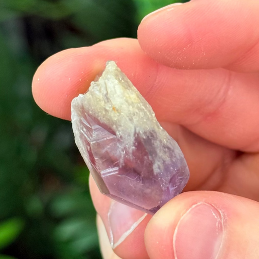 Amethyst Roots