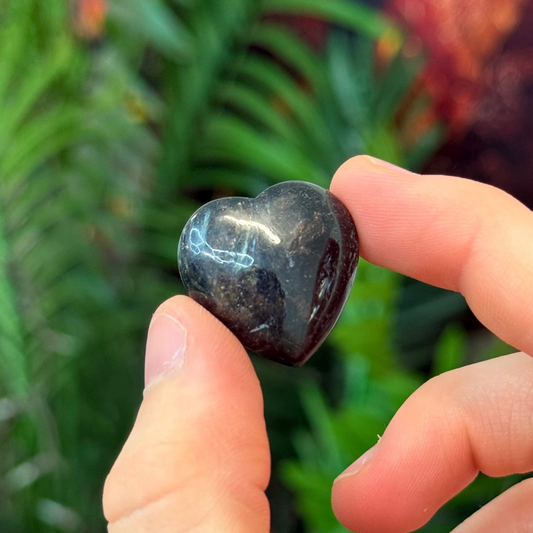 Arfvedsonite with Garnet Hearts ARF12
