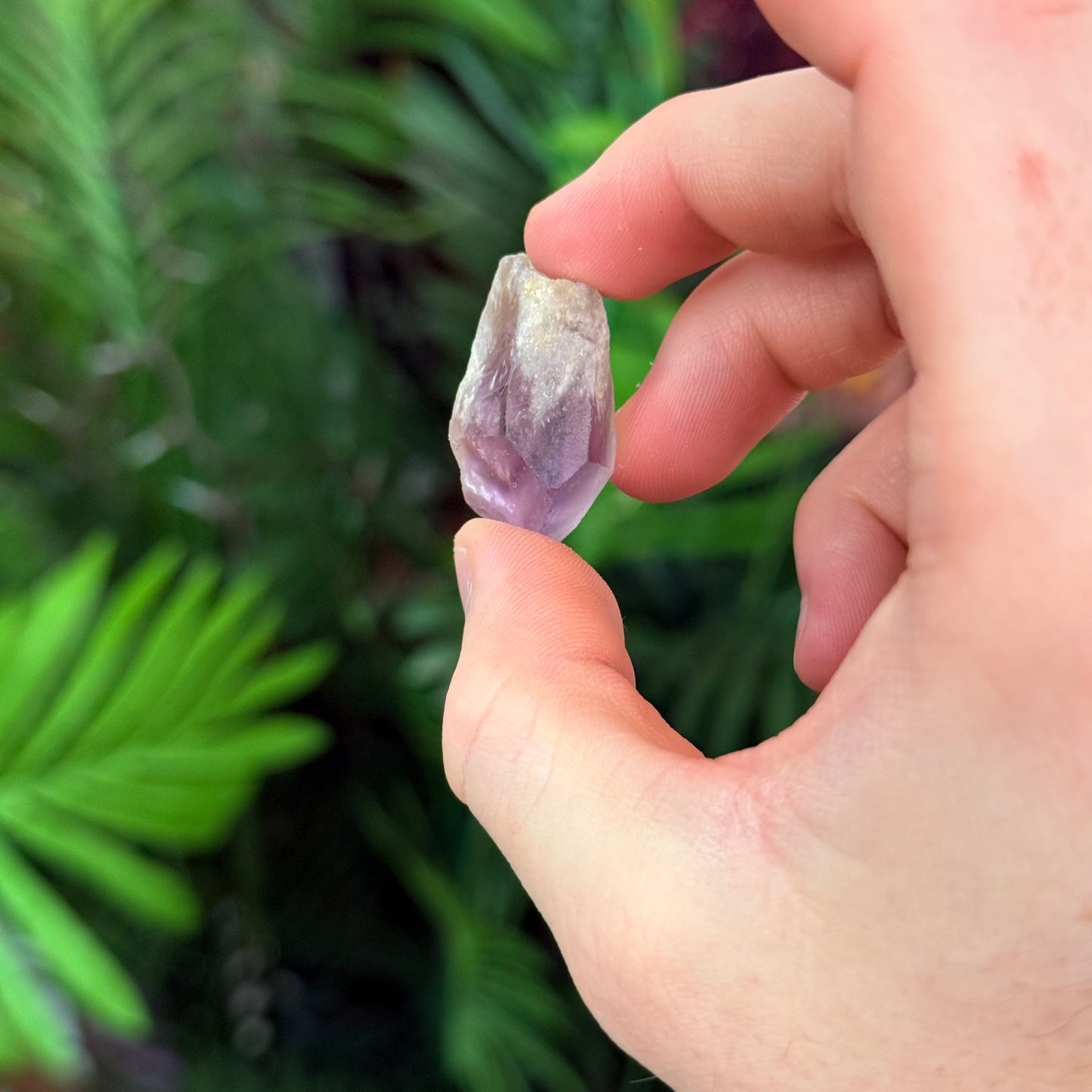 Amethyst Roots