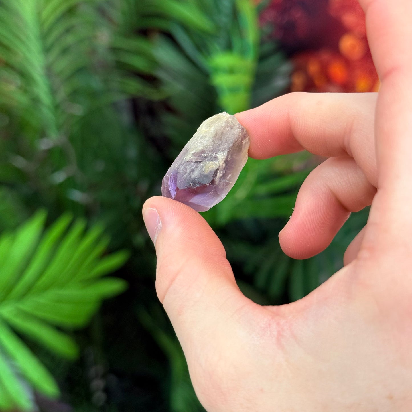 Amethyst Roots