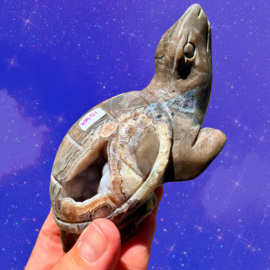 Botryoidal Volcano Agate Turtle