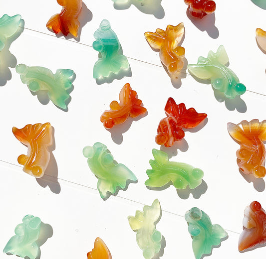 Baby Agate Fish