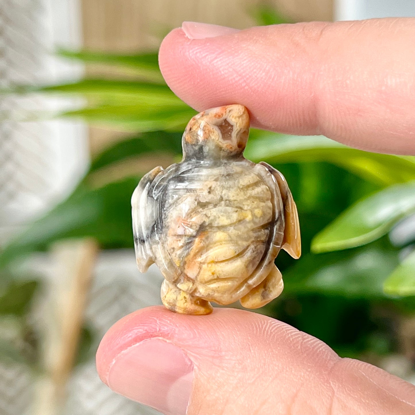 Crazy Lace Agate Sea Turtle