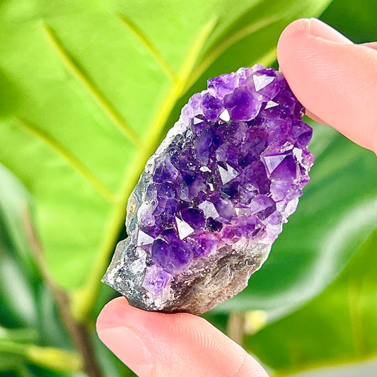 Amethyst Clusters