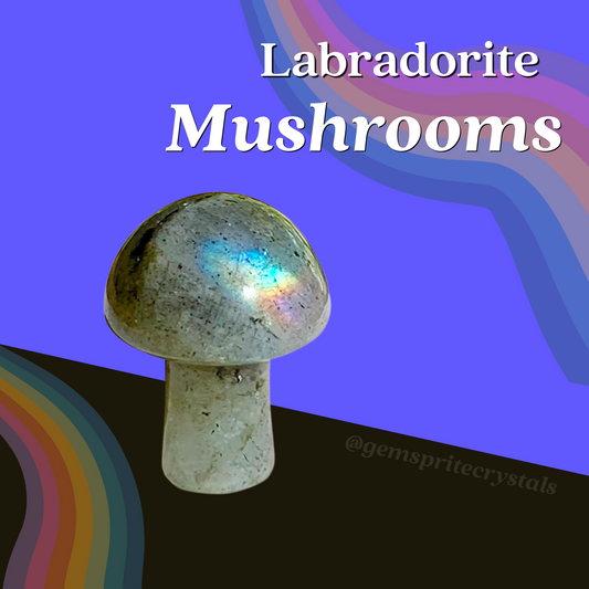 Grey Labradorite Mushroom 🍄