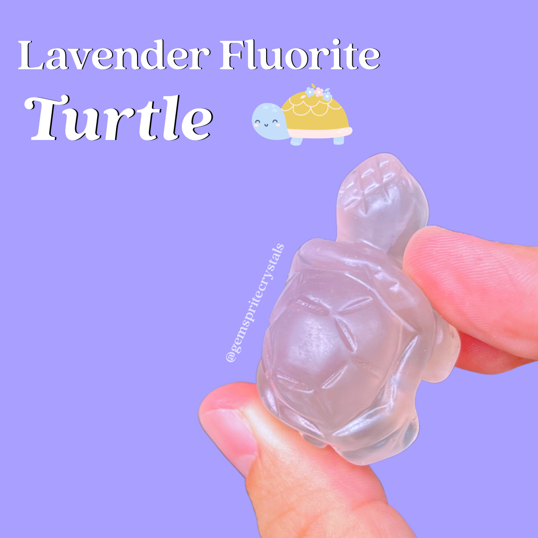 Lavender Fluorite Turtle