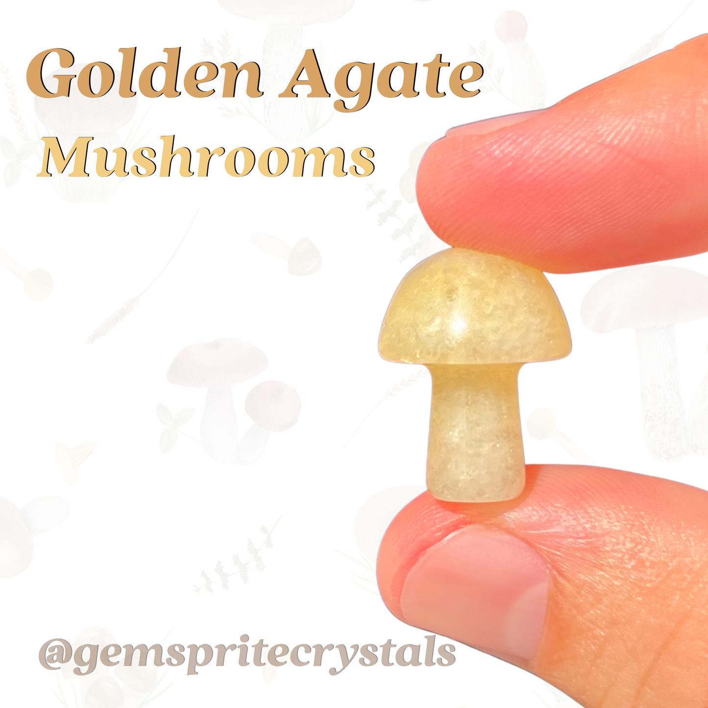 Golden Agate Mushrooms