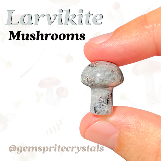 Larvikite Mushrooms