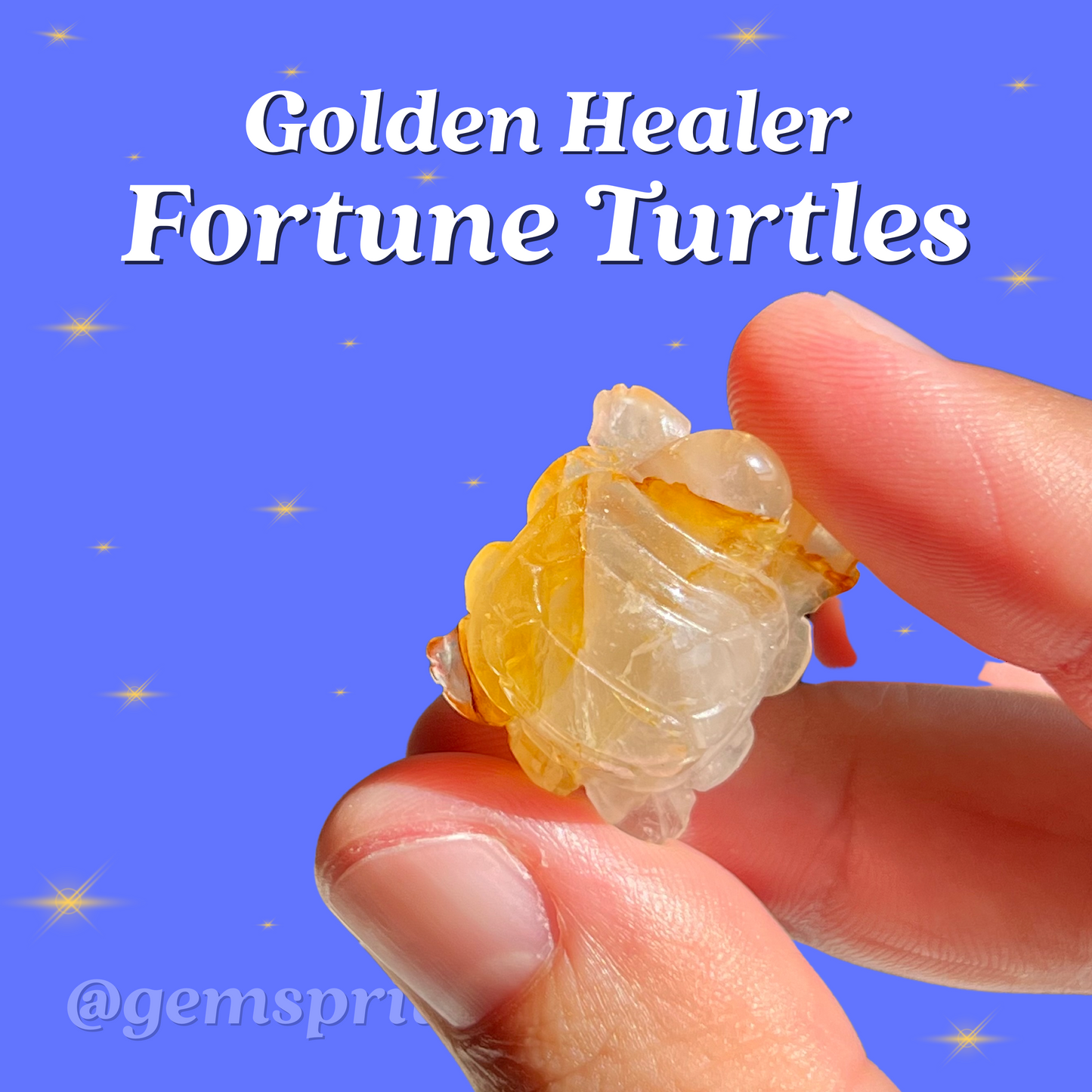 Golden Healer Fortune Turtles