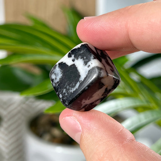 Zebra Jasper Cubes