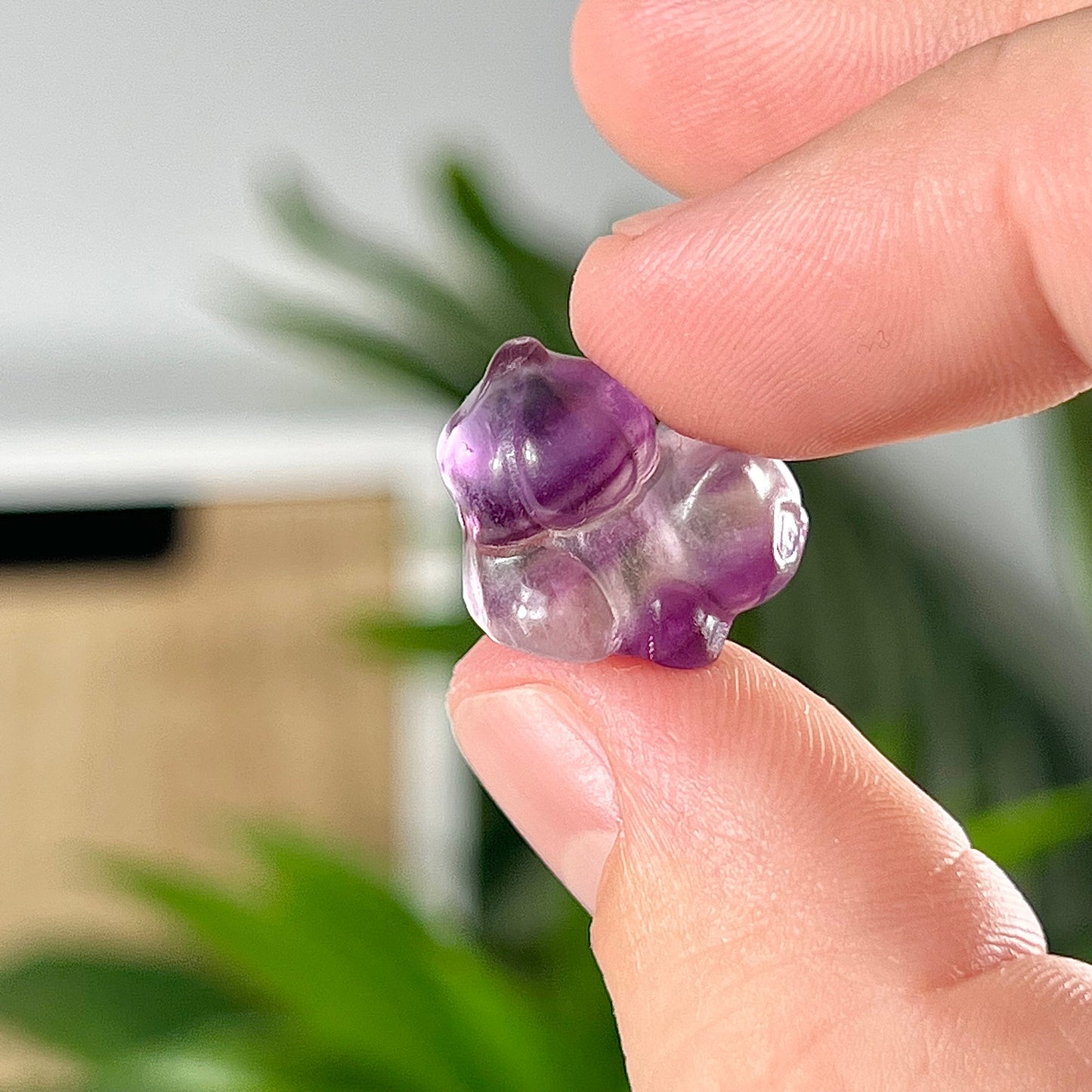Fluorite Bulbasaur