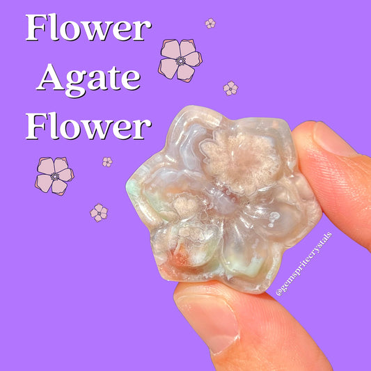 Flower Agate Flower