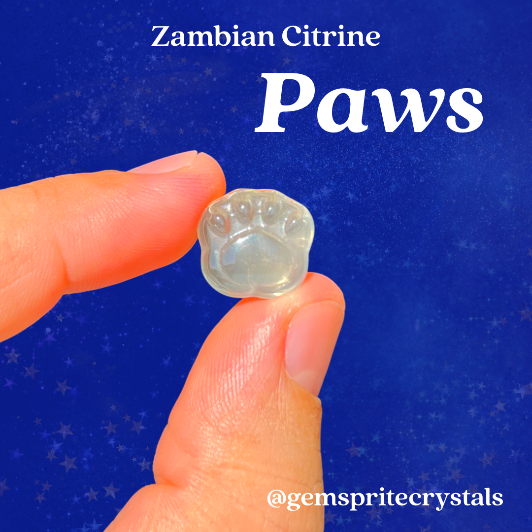 Zambian Citrine Paw