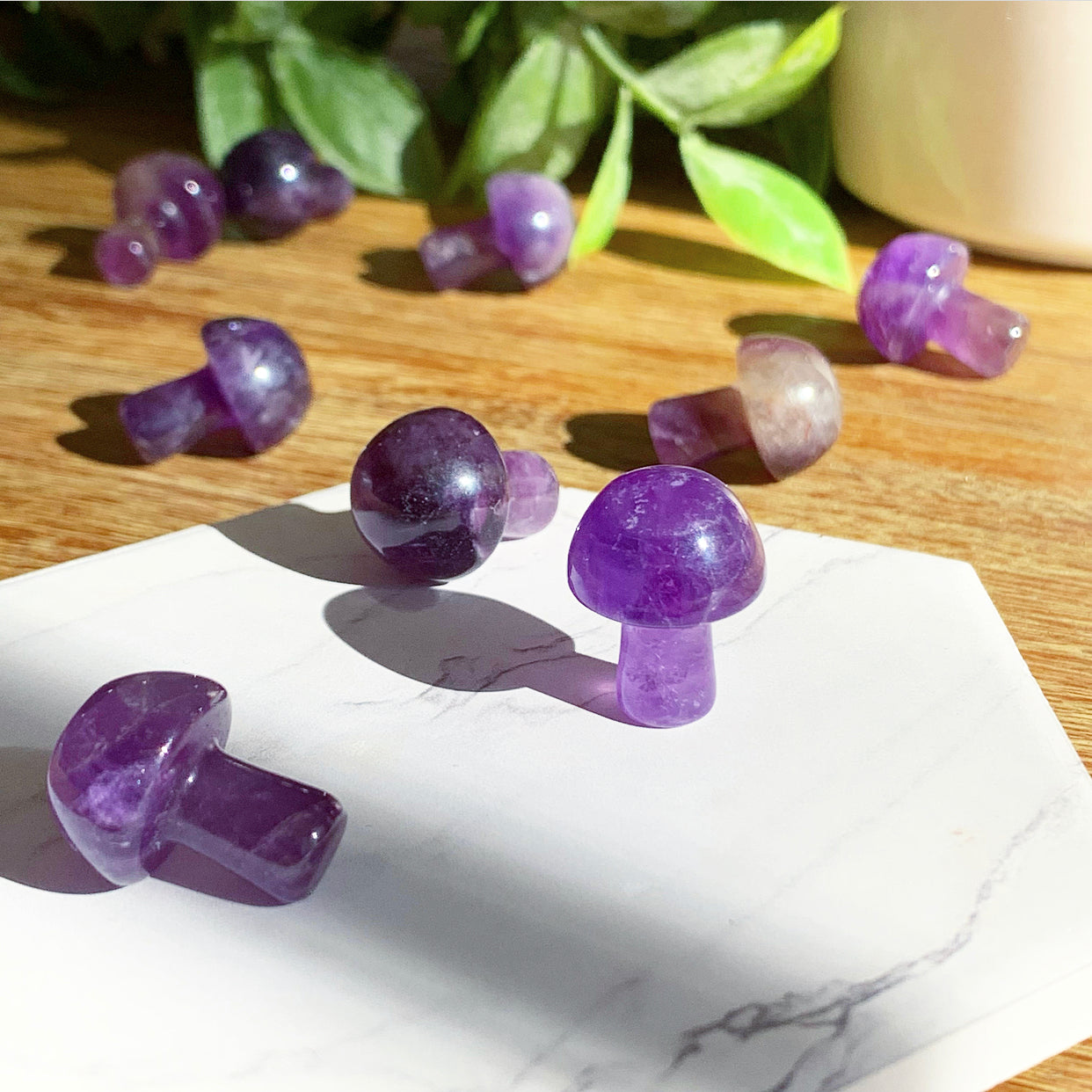 Amethyst Mushroom