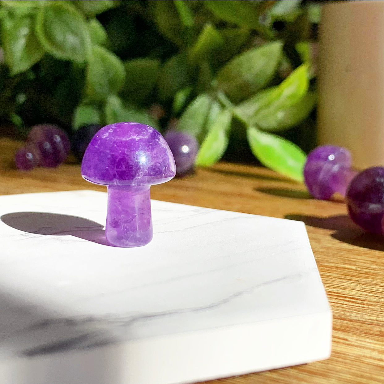 Amethyst Mushroom