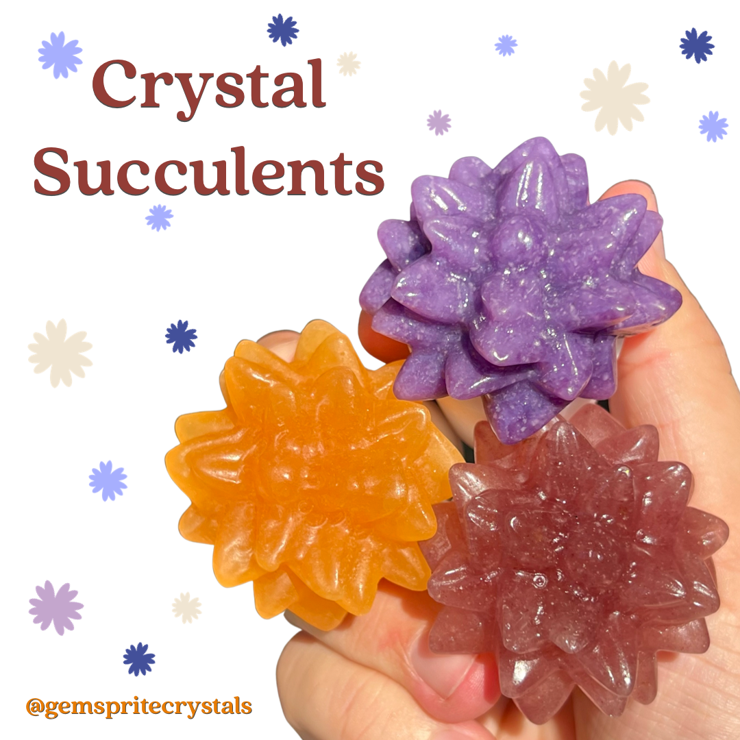 Crystal Succulents