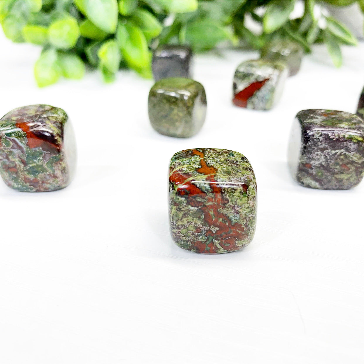 Dragon’s Blood Cubes