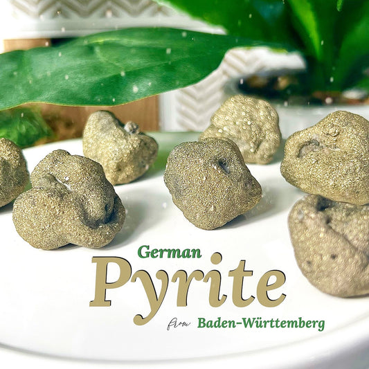 Collector’s German Pyrite