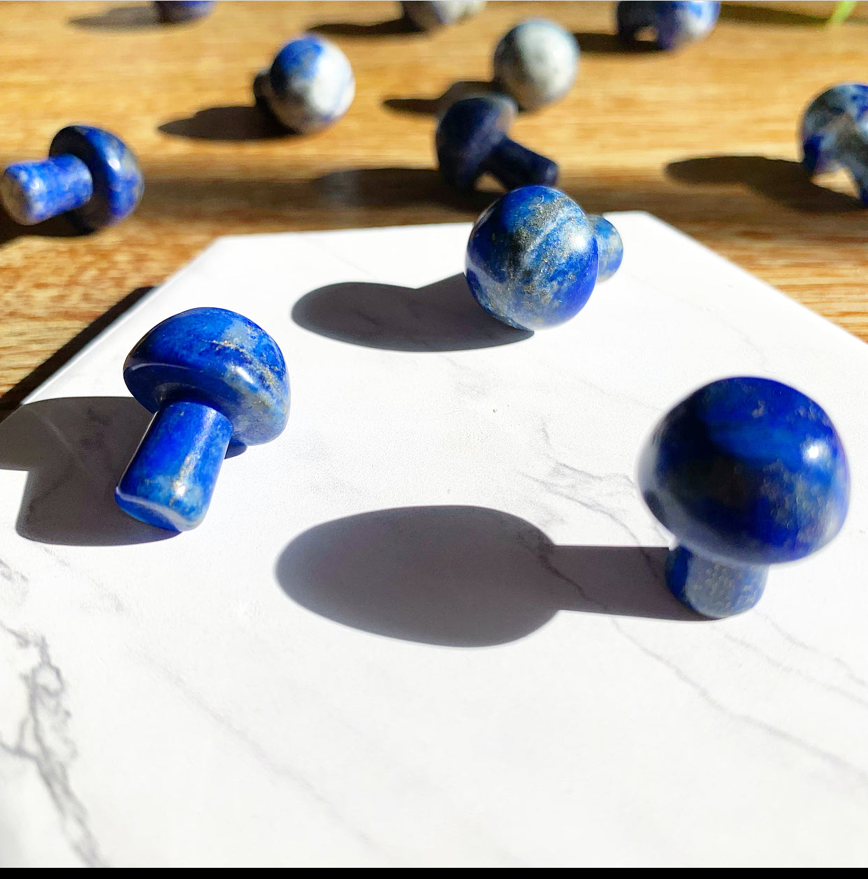 Lapis Lazuli Mushroom